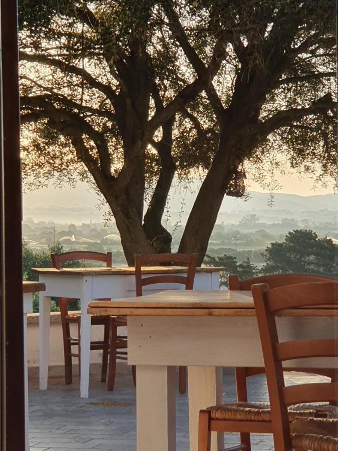 Bed and Breakfast Nacchinono Olbia Exterior foto