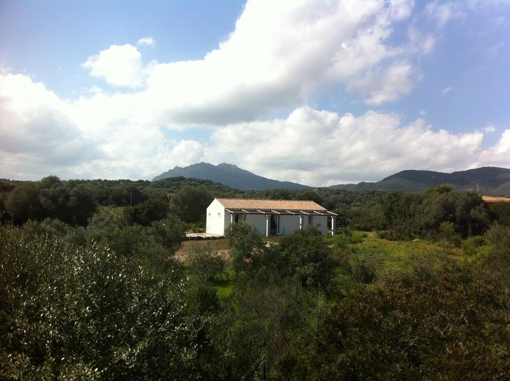 Bed and Breakfast Nacchinono Olbia Exterior foto