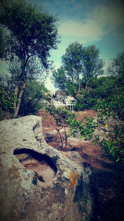 Bed and Breakfast Nacchinono Olbia Exterior foto